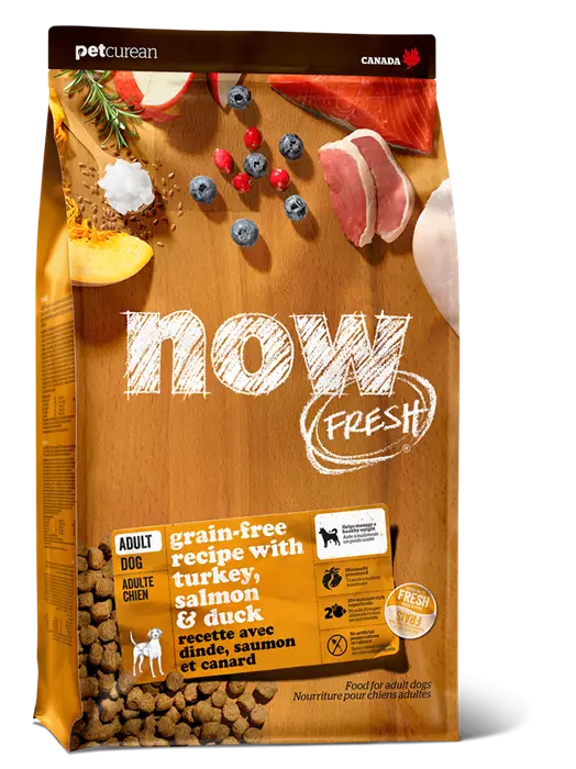 Беззерновой cухой корм NOW Fresh для взрослых собак с индейкой, уткой и овощами Adult Recipe Grain Free